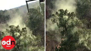 Irritating Huge pollen wave stirred up by helicopter in Georgia [upl. by Audette]