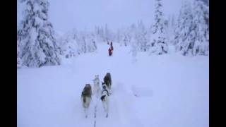 Hundeschlittenfahrt in Lappland Musik aus quotAschenbrödelquot [upl. by Argella]