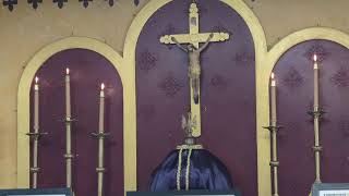 Live Mass Bishop Pfeiffer Sunday Feast Of The Nativity Of The Blessed Virgin Mary Sept 8th 2024 [upl. by Ollopa]