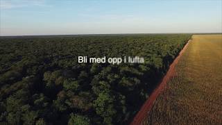 Et overblikk av regnskogen  REMA 1000  Palmeolje [upl. by Mcneil]