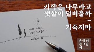 용용일기 손글씨 자신의 모습 그대로 괜찮아요  응원의 짧은글 [upl. by Hurwit808]