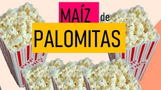 MAÍZ DE PALOMITAS [upl. by Ednil]