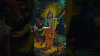 Dwarikadhish jayshreekrishna radheradhe radheshyam radhekrishnalovers gopal kanhastatus [upl. by Yklam]