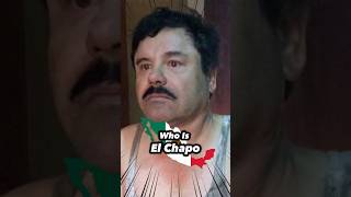 Who Is El Chapo Actually [upl. by Laamak]