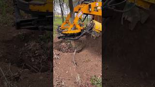 treecuttingservice treecutting didingmachine treedidingmachine treeremoval treedidingvideo [upl. by Nyved]