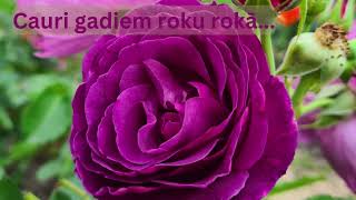 Jānis B  Cauri gadiem roku rokā [upl. by Yecak]