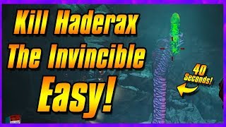 HOW TO Kill Haderax The Invincible  Borderlands 2 Tutorial [upl. by Anaer893]