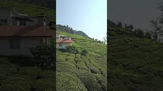 Luxury Living Best Villa at Planters Punch Resort in Ootys Tea Hills 🌴🍹 Best resort in ooty [upl. by Ailima308]