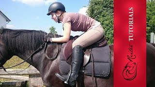 Reitsport Haul bei Krämer  Reitertutorials [upl. by Leasia417]