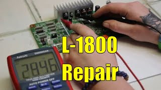 Avoid Costly Repairs Epson L1800 Mainboard Testing Tips [upl. by Navonod237]