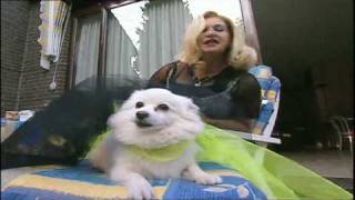 Man bijt hond Dutch Madonna [upl. by Atires928]