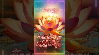 Om Mani Padme Hum  Buddha Mantra  buddha mantra meditation  六字大明咒 [upl. by Ailaro]