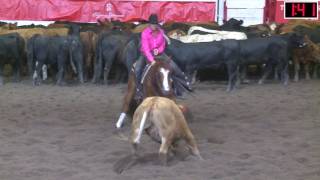 2017 Calgary Stampede Cutting Horse Competition Non Pro Champion [upl. by Asihtal]