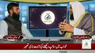 Khwab mein saamp dekhne ke Tabeer  khwab ki Tabeer  qari m khubaib  m Awais  DWI Official Video [upl. by Zeiler]