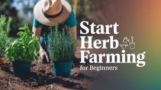 How Herb Farming Can Make You Rich A StepbyStep Guide to Profitable Herb Farming shorts herbs [upl. by Aenej]