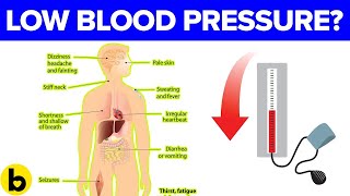 This Is What Causes Low Blood Pressure [upl. by Aleahs]