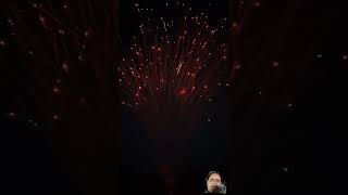 feuerwerk 中国烟花 vuurwerk chinafireworks displayshells amazingfireworks pirotecnia shortvideo [upl. by Rheinlander]