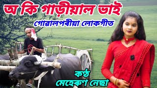 O Ki Gariyal Vai  Goalparia Video Song  Meherun Nessa [upl. by Adamson]