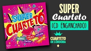 El Negro Videla  La Faldita │Cd Super Cuarteto [upl. by Ayifas762]