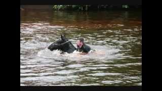 Appleby Fair 2012 video 2 of 3 [upl. by Accem714]