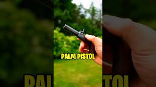 La MITICA PALM PISTOL  datoscuriosos datoscuriosos army [upl. by Zat]