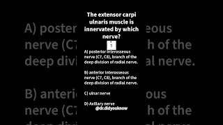 Extensor carpi ulnaris innervation Medicine [upl. by Ecnerat]