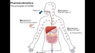 What is Pharmacokinetics  A simple Introduction [upl. by Amahcen437]