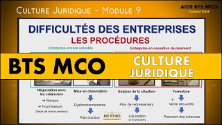 AIDE BTS MCO  4 procédures pour les entreprises en difficulté  CULTURE JURIDIQUE BTS [upl. by Nnayllehs]