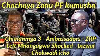 Chimurenga 3  Ambassadors  ZRP Left Mnangagwa Shocked  Inzwai Chokwadi icho🇿🇼🇿🇼🇿🇼👇 [upl. by Ecirad]