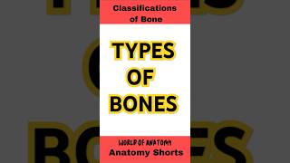 Classifications of Bones General Anatomy biology mbbs neetpg neet shorts [upl. by Allekim]