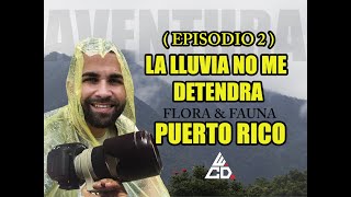 “Cazando el Nido del Halcón ¡La Búsqueda Continúa en el Episodio 2 [upl. by Meier]