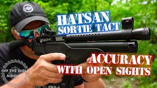 Hatsan Sortie Tact  Accuracy With Open Sights [upl. by Mcconnell]