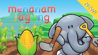 Lagu Anak Indonesia  Menanam Jagung [upl. by Guillemette595]