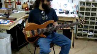 Birdsong Guitars HY5 Short Scale 5 String Bass [upl. by Sheelah]