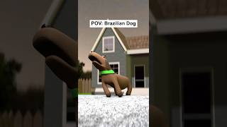 POV Normal Dog Vs Brazilian Dog [upl. by Asia]