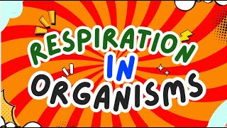 Respiration in Organisms  How Animals amp Plants Breathe  Class 7 Science [upl. by Tabib767]