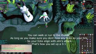 Solo raids  Olm melee hand 31 amp 41 [upl. by Odnalo]