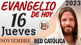 Evangelio de Hoy Jueves 16 de Noviembre de 2023  REFLEXIÓN  Red Catolica [upl. by Kristoffer]