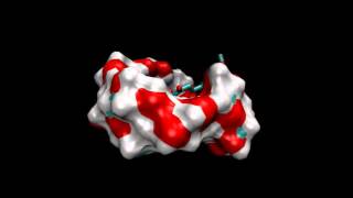 Molecular dynamics simulation of curcuminƔcyclodextrin complex [upl. by Garold]