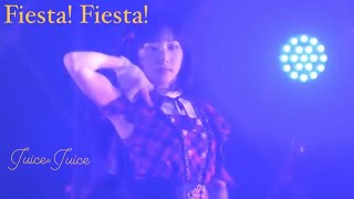 FiestaFiesta  JuiceJuice 529武道館 [upl. by Merwyn451]