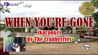 WHEN YOUR GONE by The Cranberries karaoke [upl. by Sephira]