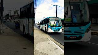 MARAPONGA TRANSPORTES FORTALEZA 26601 MERCEDES NEOBUS SP U 2015 neobus fortaleza ceará shorts [upl. by Demona]