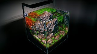 SETTING UP A SMALL AQUARIUM  NANO AQUASCAPE [upl. by Brigette]