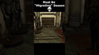 Must Be quotMigratingquot Season 💀 skyrim skyrimanniversary elderscrolls shorts [upl. by Inga]