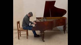 Improvising on Karl Kutschera Wien Piano 1873 [upl. by Donnie]