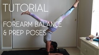 TUESDAY TUTORIAL  Forearm Balance for Beginners [upl. by Lewiss]