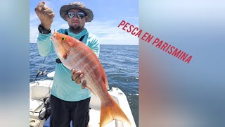 Pesca en Barra de parismina en busca de los pargos Sabalos y jureles 🇨🇷🎣💪 [upl. by Hyozo]