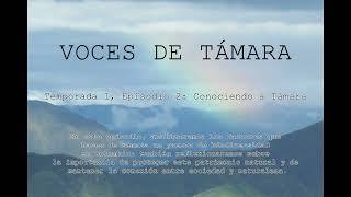 Podcast Voces de Támara  T1E2 Conociendo a Támara [upl. by Kella]