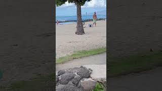 Hawai’i Waikiki beach vacation honolulu ​highlight [upl. by Ysirhc964]