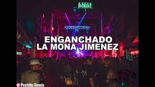 LA MONA JIMÉNEZ ✘ ENGANCHADO ✘ REMIX FIESTERO ✘ PECHITO REMIX 🐒🎶 [upl. by Eiuqnimod617]